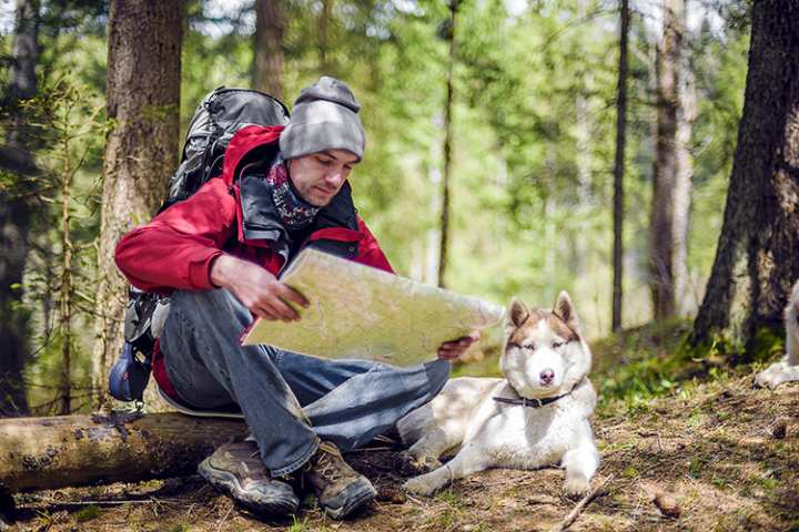 10 Best Dog-Friendly Hiking Trails in Florida!