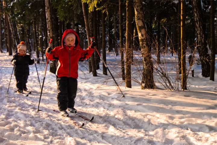 The Best Cross-Country Skiing Adventure in New Mexico