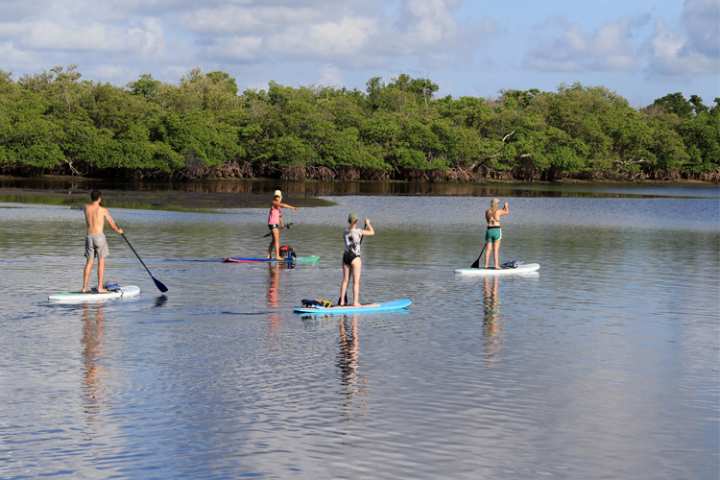 5 Great Paddleboarding Spots in Texas 