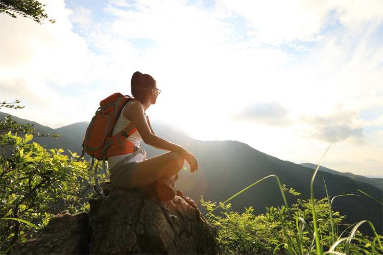 5 Beautiful Scenic Hikes Around Washington, D.C.