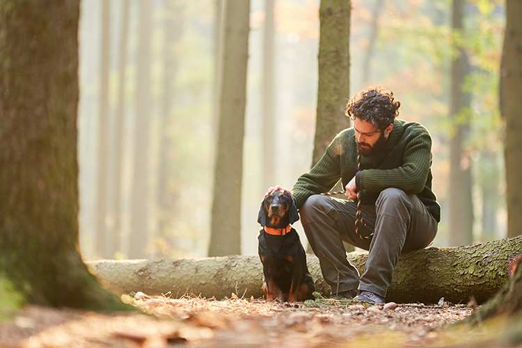 10 Best Dog-Friendly Hiking Trails in Michigan!