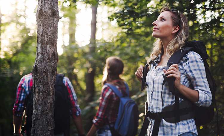 5 Beautiful Scenic Hikes in Pennsylvania